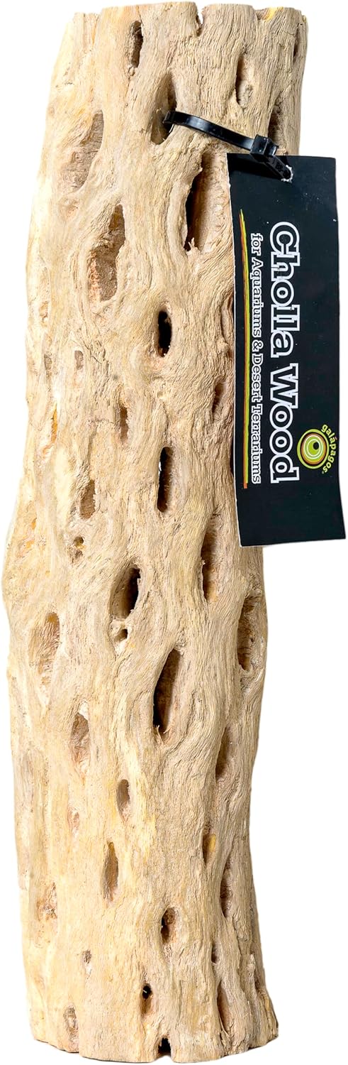 Galápagos (05271) Cholla Wood - Natural Aquarium & Terrarium Decoration for Fish Tanks, Reptile Tanks, and Bird Perches, Natural