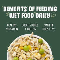 Weruva Classic Dog Food, Green Eggs & Chicken with Chicken Breast & Pumpkin in Gravy (Pack of 12)