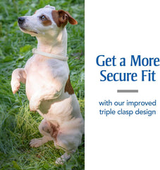 PetArmor Flea & Tick Collar for Dogs, Kills Fleas & Ticks, Long Lasting Protection for 6 Months, Water Resistant, One Size Fits All.