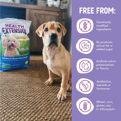 Health Extension Little Bites Chicken & Brown Rice Dry Dog Food - Natural with Probiotics and Superfoods for Teacup, Toy & Small Breeds