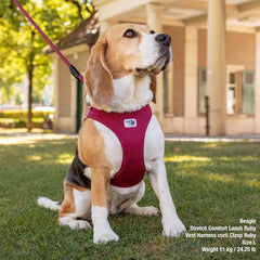 Curli Vest Harness curli Clasp Air-Mesh