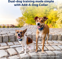 PetSafe 300 Yard Remote Training Collar – Choose from Tone, Vibration, or 15 Levels of Static Stimulation – Medium Range Option for Training Off Leash Dogs – Waterproof and Durable – Rechargeable