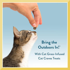 Pet Greens Semi-Moist Cat Craves Treats , Chicken flavor, 3 Oz