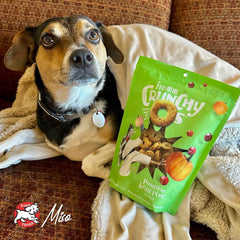 Fromm Crunchy Os Blueberry Blasts Dog Treats - Premium Crunchy Dog Treats - Chicken Recipe
