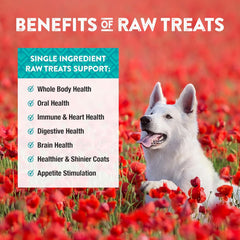 Northwest Naturals Raw Rewards Freeze-Dried Chicken Breast Treats for Dogs and Cats - Bite-Sized Pieces - Healthy, 1 Ingredient, Human Grade Pet Food, All Natural, Proudly Made in USA