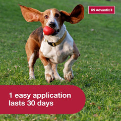 K9 Advantix II Dog Vet-Recommended Flea, Tick & Mosquito Treatment & Prevention | 1-Mo Supply