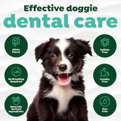 TropiClean Fresh Breath Dog Toothpaste for Teeth Cleaning, Breath Freshener, Easy to Use Plaque & Tartar Remover Gel