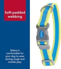 Coastal Pet - Pro - Reflective Adjustable Dog Collar, Aqua with Neon