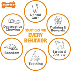 Nylabone Strong Chew Sneaky Snacker Treat Toy for Dogs, Interactive Dog Enrichment Chew Toys, Bacon Flavor