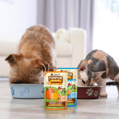 Weruva Pumpkin Patch Up! Pumpkin with Ginger & Turmeric for Dogs & Cats (Pack of 12)