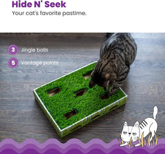 Petstages Catstages Grass Patch Hunting Box Interactive Bat & Swat Game for Indoor Cats, 3 Jingle Balls Included, Green