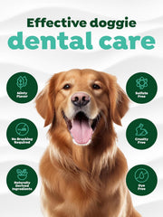 TropiClean Clean Teeth Gel for Dogs | Dog Dental Care | Dog Toothpaste | Breath Freshener |