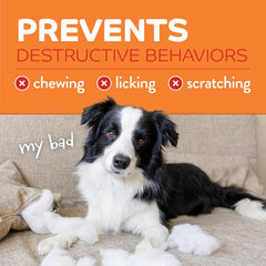 TropiClean No Chew Spray for Home, Better Than Bitter Apple Spray, Safe & Natural Chew Deterrent, Protect Furniture, Wall Corners & More! 8 oz