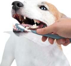 Nylabone Advanced Oral Care Dog Dental Kit Original Flavor