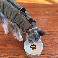 SPOT I Love Dogs Dish -Round Ceramic Food/Water Bowl with High Walls for Pets, Dishwasher Safe, Ideal for Small Dogs, Cats, Reptiles, Large Birds