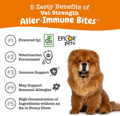 Zesty Paws Vet Strength Dog Allergy Relief Chews, Dog Probiotics for Itchy Skin and Ears, Smoked Cheese, 90ct