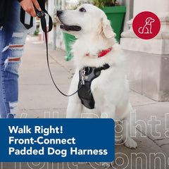 Coastal Pet Walk Right Front-Connect No-Pull Padded Dog Harness - Adjustable & Comfortable Dog Harness - Small & Large Breed Fit - Quality Pet Supplies - Black