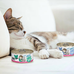 Weruva Best Feline Friend (B.F.F.) Grain-Free Cat Food, Tuna & Tilapia Twosome (Pack of 24)