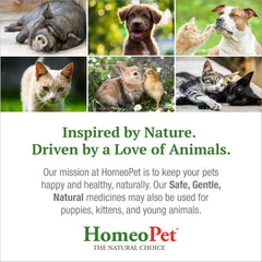 HomeoPet Feline Digestive Upsets, Safe and Natural Cat Digestive Support, 15 Milliliters