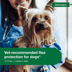 Elanco Advantage II Dog Vet-Recommended Flea Treatment & Prevention | 4-Month Supply
