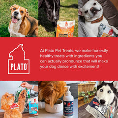 Plato Small Bites Salmon 2.5oz, Natural