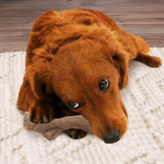 Nylabone Gourmet Style Stick Strong Chew Toy for Dogs, Peanut Butter Flavor, Medium
