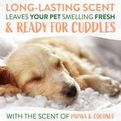 TropiClean Dog Wipes for Paws, Butt, Face, and Body, Anytime Cleaning and Deodorizing Pet Wipes