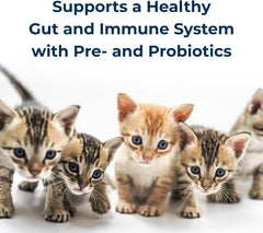 Pet-Ag KMR Kitten Milk Replacer Powder - Powdered Kitten Formula with Prebiotics, Probiotics & Vitamins for Kittens Newborn to Six Weeks Old - Easy to Digest