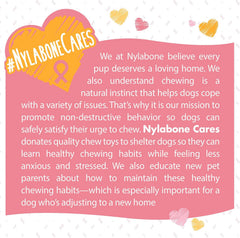 Nylabone Power Chew Breast Cancer Awareness Femur Bone Chew Toy for Dogs, Indestructible Dog Toys for Aggressive Chewers, Chicken Flavor