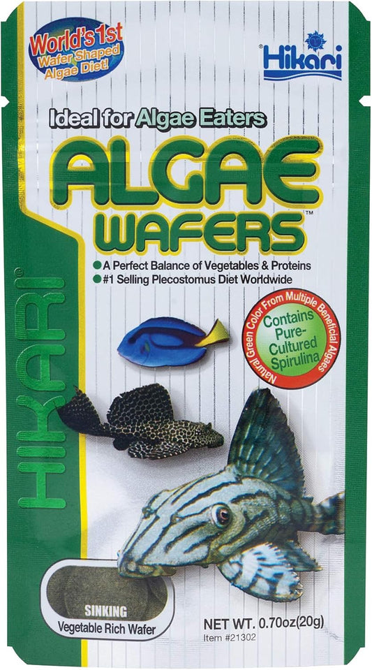 Hikari Algae Wafers for Pets