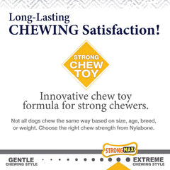 Nylabone Gourmet Style Wishbone Strong Chew Toy for Dogs, Bacon Flavor