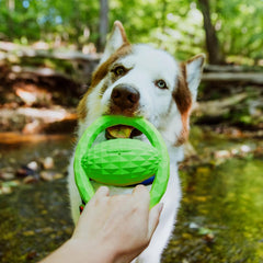 Playology Hound2O Outdoor Dog Toys | Interactive Squeaky Ball - Tug of War Dog Toy | Bright Chew Toy Floats for Water Adventures