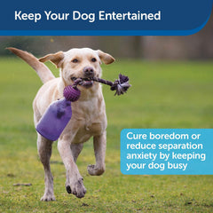 PetSafe Busy Buddy Tug-A-Jug - Treat-Dispensing Dog Toy - Slow Down Eating - 2 Cup Capacity - Lower Separation Anxiety - Cleans Teeth - Easy to Wash - Multi-Sensory Stimulation - Purple