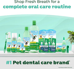TropiClean Fresh Breath Drops for Cats Travel Size | Cat Mouthwash | Water Additive For Cats | Kitten Bad Breath Water Additive | Made in the USA |