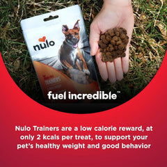 Nulo Salmon Flavor Healthy Dog and Puppy Training Treats, 16 Ounce Pouch