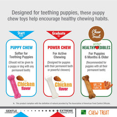 Nylabone Puppy Chew Toys & Natural Treat Triple Pack, Pink, Chicken & Bacon Flavor
