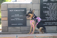 Boss Dog Tactical Molle Bag, Pink Camo