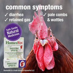 HomeoPet Avian Digestive Upsets, Safe and Natural Digestive Support for Poultry and Pet Birds, Bird Supplement, 15 Milliliters