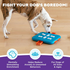 Nina Ottosson Dog Casino Treat Puzzle Enrichment Toy, Level 3 Advanced, Turquoise