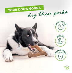 Benebone Wishbone Durable Dog Chew Toy for Aggressive Chewers, Made in USA, Real Bacon Flavor