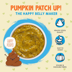 Weruva Pumpkin Patch Up! Pumpkin Pouches for Dogs & Cats 12 Pouches