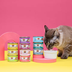 Weruva Classic Cat Food, Paw Lickin’ Chicken with Chicken Breast in Gravy