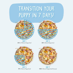 Weruva Puppy, Beef and Rice Formula in Gravy (Pack of 8)