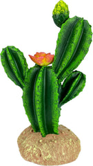 Multi Pet 48593323: Komodo Cactus Plant Flower, 9In
