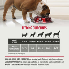 Nulo Freeze-Dried Raw Beef Recipe with Apples Complete and Balanced Dry Dog Food Kibble