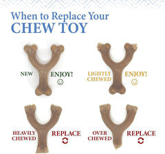 Nylabone Gourmet Style Femur Bone Strong Chew Toy for Puppies, Bacon Flavor, Small - Up to 25 Ibs, 1 Count