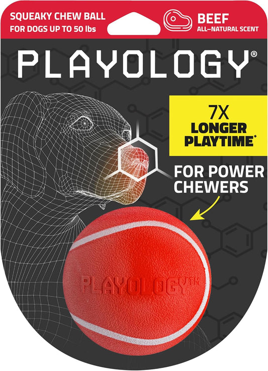Playology Squeaky Chew Ball for Dogs | Engaging All-Natural Beef Scented Toy for Medium Dogs up to 50lbs | Squeak, Fetch, and Play