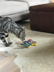 YEOWWW! Butterflies Catnip Filled Cat Toy