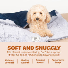 Dog Gone Smart Chilli Kuzzi FIR Blanket - Velvet Velboa and Tipped PV Plush - Ultra-Soft Dog Blanket with Far Infrared Technology - Calms, Relaxes and Heals - Suitable for Every Dog - Slate Blue