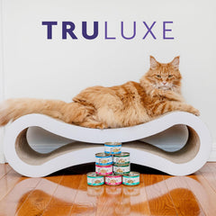 Weruva Truluxe Cat Food, Glam 'N Punk with Lamb & Duck in Gelée (Pack of 24)